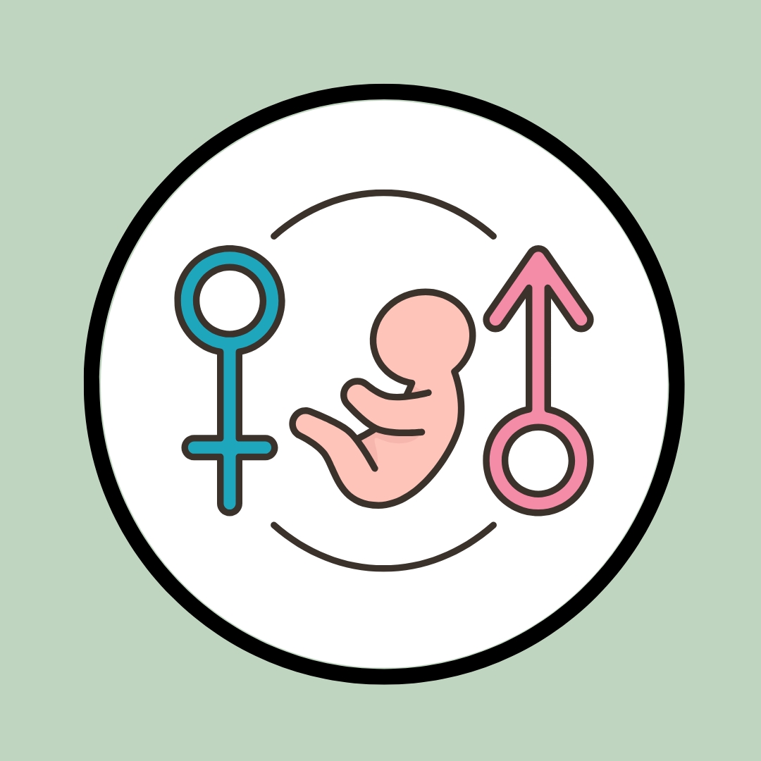 Fertility Health